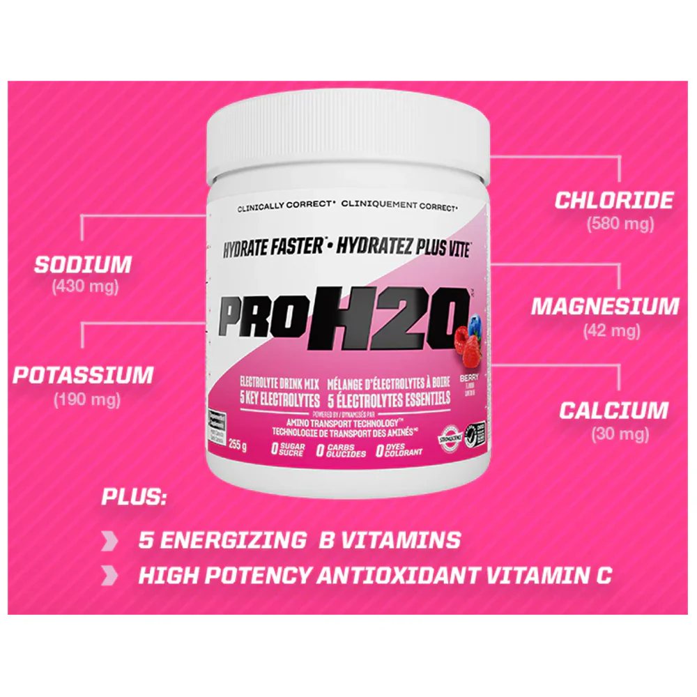 PVL | PRO H2O Rapid Hydration Electrolytes (30 Servings) - Image 7