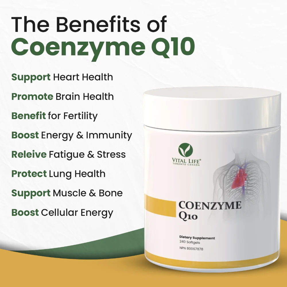 Vital Life | CoEnzyme Q10 (CoQ10) 100 mg (240 Softgels) - Image 3