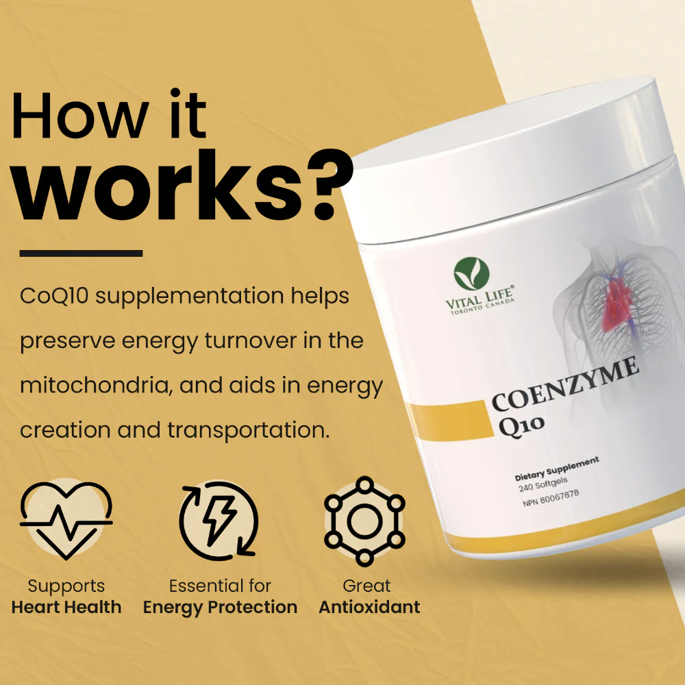Vital Life | CoEnzyme Q10 (CoQ10) 100 mg (240 Softgels) - Image 4